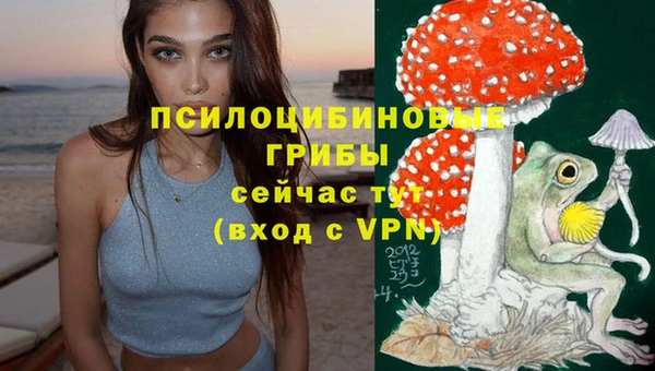 Альфа ПВП Волосово