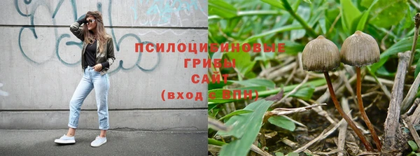 мяу мяу мука Волоколамск