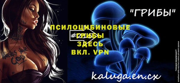 мяу мяу мука Волоколамск
