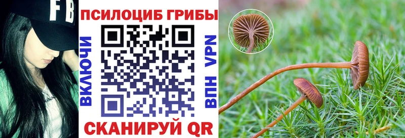 Галлюциногенные грибы Cubensis  Льгов 